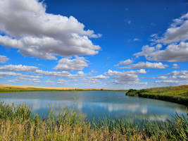 View from the northwest shore.