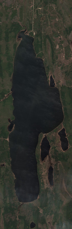 Bittern Lake - May 21 - May 28
