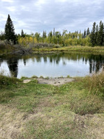 Lake access, the shoreline drops down to the water here.