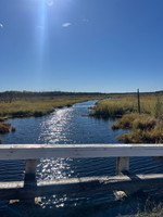 Bridge on the road into the lake.