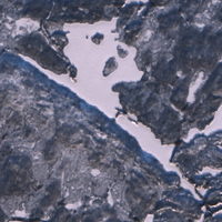 Deschamps Lake - Jan 24, 2026