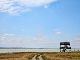 Reed Lake Lookout Tower