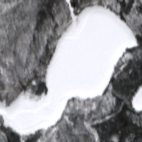 Spruce Lake - Feb 20, 2026