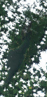 Turtle Lake