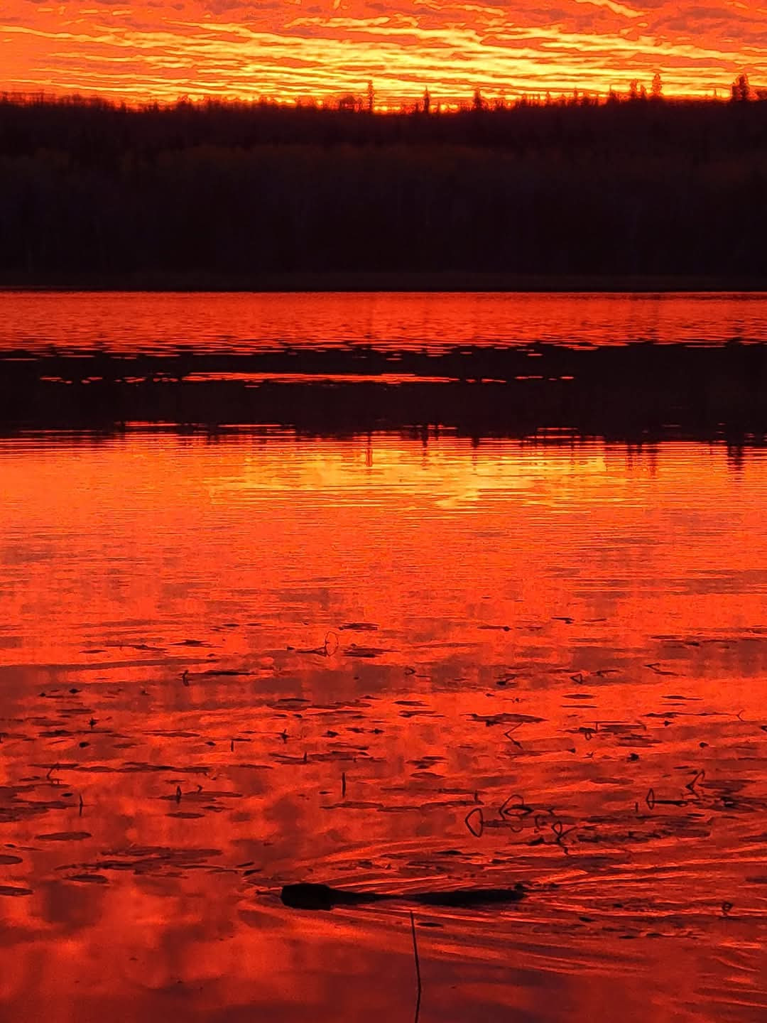 Delaronde Lake sunset 