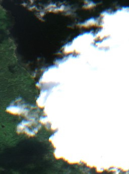 Parr Hill Lake - Jun 02 - Jul 02