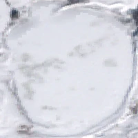 Wolf Lake - Jan 26, 2026