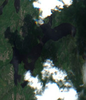 Bassett Lake - Jul 24, 2026