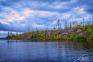 Fall colours on the burnt shoreline