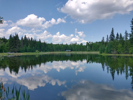 Pond view from the other side.