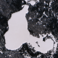 Little Fishing Lake - Jan 24, 2026