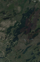 Durrant Lake - Jul 24, 2026