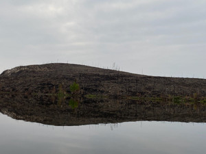 North Side of Jaysmith Lake