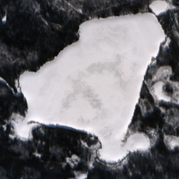 Matheson Lake - Jan 27, 2026