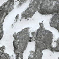 Ciocia Lake - May 09, 2026