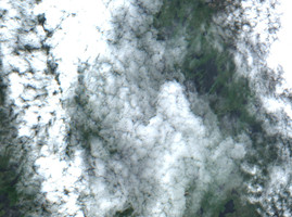 Forbes Lake - Jul 24, 2026