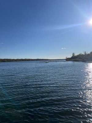 View of the lake from the dock.