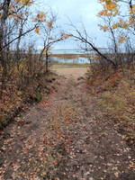 Path down to the beach