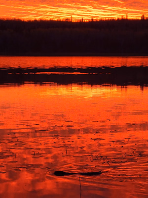 Delaronde Lake sunset 