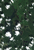 Bronson Lake