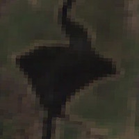 Loon Lake