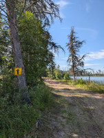 Picture of the path that wraps around the lake