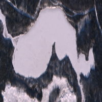 Rusty Lake - Dec 20, 2025
