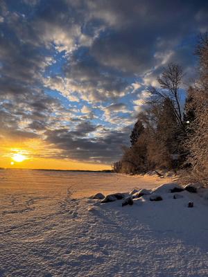 Phillips Grove, Delaronde Lake