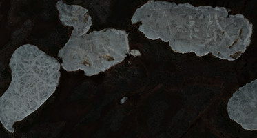 Clarke Lake - May 09, 2026