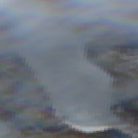 Poplar Ridge Lake - May 01, 2026
