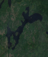 Bassett Lake