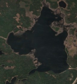 Pinkney Lake - May 21 - May 28