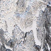 Easton Lake - Feb 12, 2026