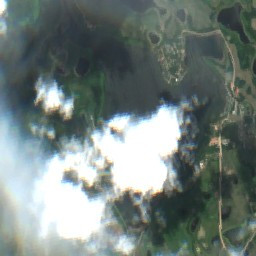 Martins Lake - Jun 03 - Jul 03