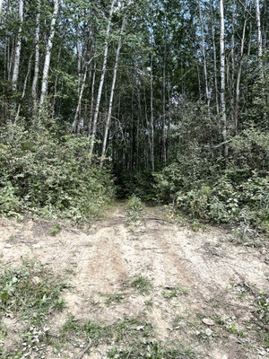 Start of trail into lake.