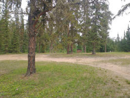 View of the campground and outhouse.