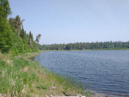 Lake shoreline.