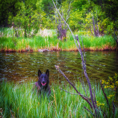 along the shoreline at the campsite