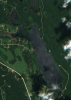 Young Loon Lake - Jul 24, 2026
