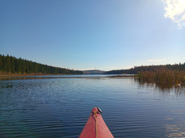 Paddling on Shady Lake.