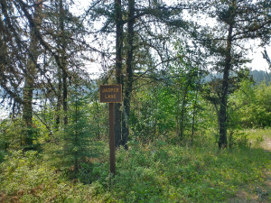 Jasper Lake sign.