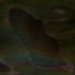 Poplar Ridge Lake - May 09 - Jun 08