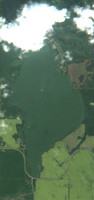 Shannon Lake