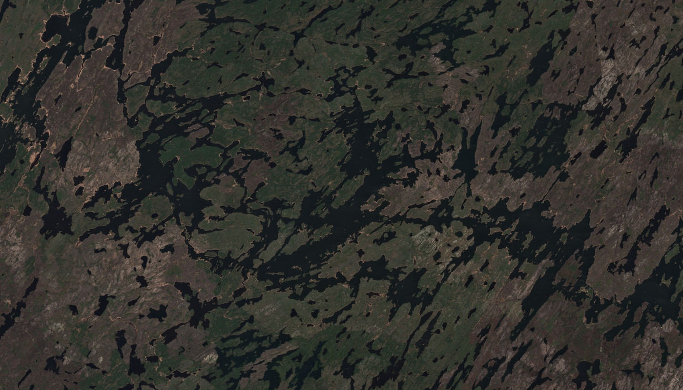 Black Bear Island Lake - May 24 - May 31