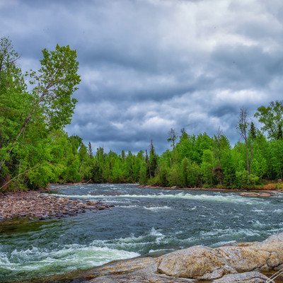 Fisher Rapids