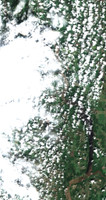 Lake Of The Prairies - Jul 24, 2026
