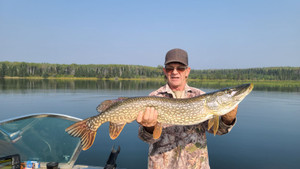 Some nice sized pike 