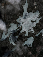 Little Deer Lake - May 09, 2026
