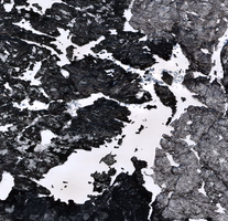 Harriott Lake - Feb 12, 2026