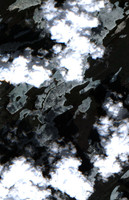 Durrant Lake - May 21, 2026